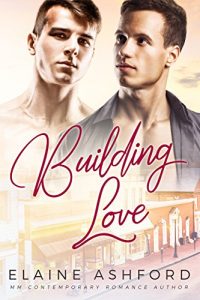 Baixar Building Love : (An Oak Hill Romance) (English Edition) pdf, epub, eBook