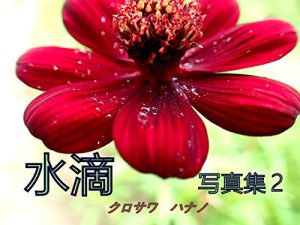 Baixar suiteki shasinshuni (Japanese Edition) pdf, epub, eBook