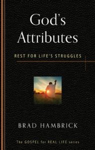 Baixar God’s Attributes: Rest for Life’s Struggles (The Gospel for Real Life) (English Edition) pdf, epub, eBook