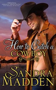 Baixar How to Catch a Cowboy (English Edition) pdf, epub, eBook