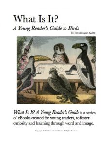 Baixar What Is It?  A Young Reader’s Guide to Birds (What Is It? A Young Reader’s Guide Book 2) (English Edition) pdf, epub, eBook