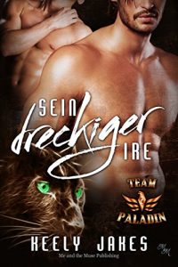 Baixar Sein dreckiger Ire (Team Paladin 2) (German Edition) pdf, epub, eBook
