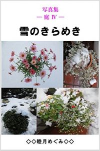 Baixar Photos Collection Garden Snow Glow (Japanese Edition) pdf, epub, eBook