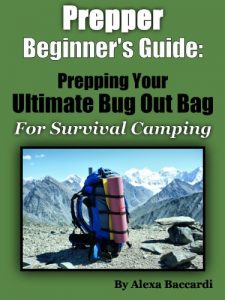 Baixar Bug Out Bag: The Prepper Beginner’s Guide To The Ultimate B.O.B. For Survival Camping (English Edition) pdf, epub, eBook
