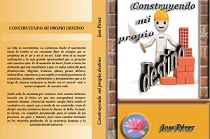 Baixar Construyendo mi propio destino (Spanish Edition) pdf, epub, eBook