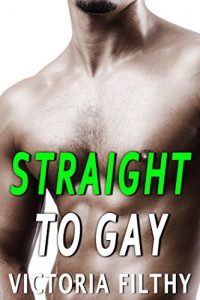 Baixar Straight to Gay (English Edition) pdf, epub, eBook