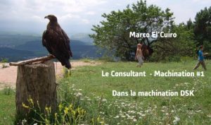 Baixar Le Consultant dans la machination DSK (French Edition) pdf, epub, eBook