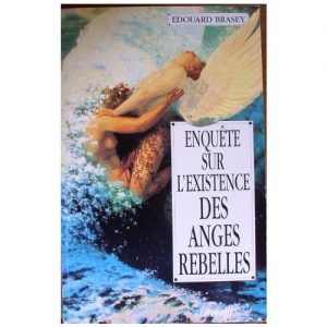 Baixar ENQUETE SUR L’EXISTENCE DES ANGES REBELLES (French Edition) pdf, epub, eBook