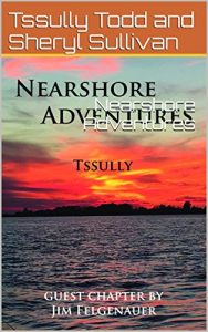 Baixar Nearshore Adventures (English Edition) pdf, epub, eBook