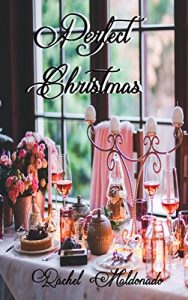 Baixar Perfect Christmas (English Edition) pdf, epub, eBook