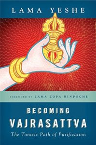 Baixar Becoming Vajrasattva: The Tantric Path of Purification (English Edition) pdf, epub, eBook
