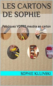 Baixar Les cARTons de Sophie: Fabriquez VOTRE meuble en carton (Les bases du cartonnage) (French Edition) pdf, epub, eBook