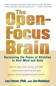 Baixar The Open-Focus Brain: Harnessing the Power of Attention to Heal Mind and Body pdf, epub, eBook