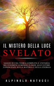 Baixar Il Mistero della Luce svelato – Saggio di una teoria completa e unitaria dei fenomeni luminosi in base alle ultime conoscenze sulla materia e sulla energia pdf, epub, eBook