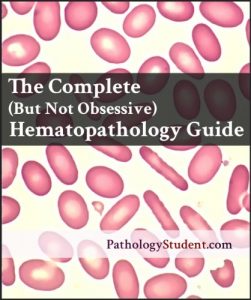 Baixar The Complete (But Not Obsessive) Hematopathology Guide (Pathology Student Study Guides Book 1) (English Edition) pdf, epub, eBook