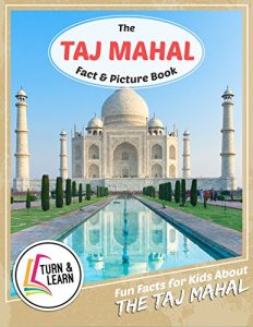 Baixar The Taj Mahal Fact and Picture Book: Fun Facts for Kids About Taj Mahal (English Edition) pdf, epub, eBook