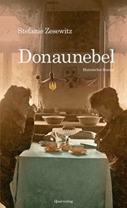 Baixar Donaunebel: Historischer Roman pdf, epub, eBook