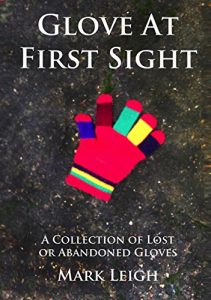 Baixar Glove At First Sight: A Collection of Lost or Abandoned Gloves (English Edition) pdf, epub, eBook