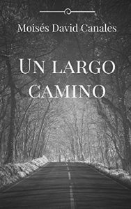 Baixar Un Largo Camino (Spanish Edition) pdf, epub, eBook