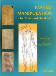Baixar Fascial Manipulation for Musculoskeletal Pain (English Edition) pdf, epub, eBook