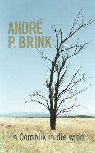 Baixar ‘n Oomblik in die wind pdf, epub, eBook