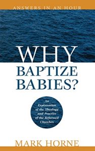 Baixar Why Baptize Babies? (Answers in an Hour) (English Edition) pdf, epub, eBook