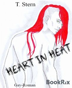 Baixar Heart in Heat: Gay-Roman (German Edition) pdf, epub, eBook