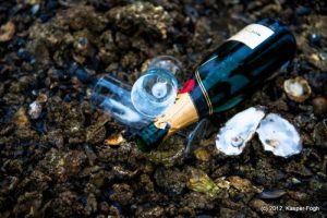 Baixar Auf Austernsafari im Wattenmeer (German Edition) pdf, epub, eBook