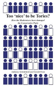 Baixar Too ‘nice’ to be Tories?: How the Modernisers Have Damaged the Conservative Party (English Edition) pdf, epub, eBook