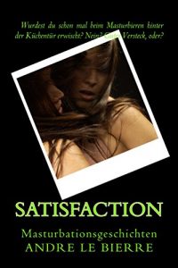 Baixar Satisfaction: Masturbationsgeschichten (German Edition) pdf, epub, eBook