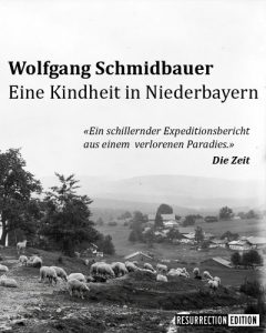 Baixar Eine Kindheit in Niederbayern (German Edition) pdf, epub, eBook