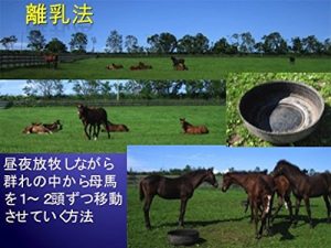 Baixar KYOUSOUBA NO RINYUHOUHOU: SUTORESU NO SUKUNAI RINYUU DE TUYOI KYOUSOUBA WO SODATEYOU (Japanese Edition) pdf, epub, eBook