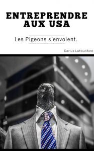 Baixar Entreprendre aux USA – Vol.3 – Les Pigeons entreprennent (French Edition) pdf, epub, eBook