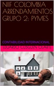 Baixar NIIF COLOMBIA ARRENDAMIENTOS GRUPO 2: PYMES: CONTABILIDAD INTERNACIONAL (Spanish Edition) pdf, epub, eBook
