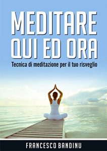 Baixar Meditare qui ed ora pdf, epub, eBook