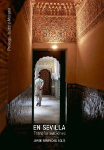 Baixar En Sevilla. Transformaciones. (Spanish Edition) pdf, epub, eBook