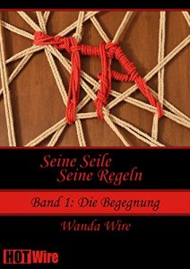 Baixar Seine Seile – Seine Regeln 1: Die Begegnung (German Edition) pdf, epub, eBook