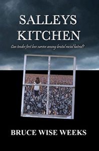 Baixar Salleys Kitchen (English Edition) pdf, epub, eBook
