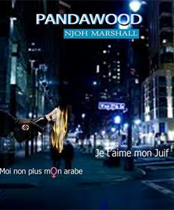 Baixar JE T’AIME MON JUIF…MOI NON PLUS MON ARABE (French Edition) pdf, epub, eBook