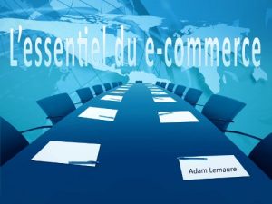 Baixar Le commerce en ligne (French Edition) pdf, epub, eBook