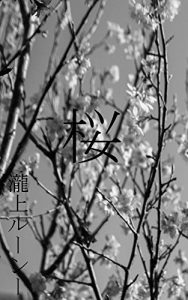 Baixar Sakura (Hametuha) (Japanese Edition) pdf, epub, eBook