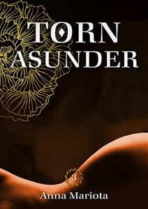 Baixar Torn Asunder 3: Der finstere Weg der Einsamkeit (German Edition) pdf, epub, eBook