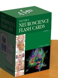 Baixar Netter’s Neuroscience Flash Cards E-book (Netter Basic Science) pdf, epub, eBook