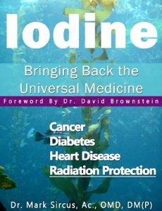 Baixar Iodine – Bringing Back the Universal Medicine (English Edition) pdf, epub, eBook