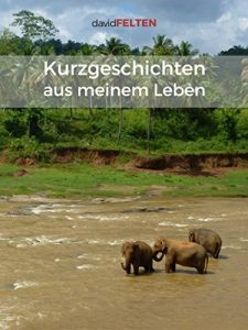 Baixar Kurzgeschichten aus meinem Leben (German Edition) pdf, epub, eBook