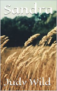 Baixar Sandra (English Edition) pdf, epub, eBook