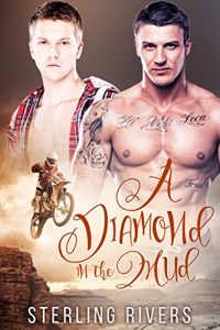 Baixar A Diamond in the Mud (Friends to Lovers Gay M/M Romance GFY) (Bromance Book 1) (English Edition) pdf, epub, eBook