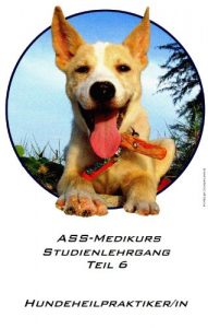 Baixar Hundeheilpraktiker Teil 6 ASS-Medikurs Studienlehrgang (German Edition) pdf, epub, eBook