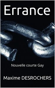Baixar Errance: Nouvelle courte Gay (French Edition) pdf, epub, eBook