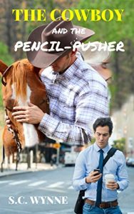 Baixar The Cowboy and the Pencil-Pusher (English Edition) pdf, epub, eBook